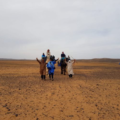 Group tour in desert